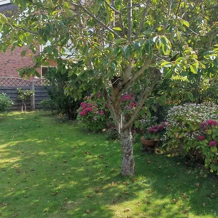Haus Carsten * Westerland